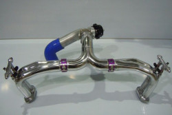 Inlet manifolds and turbo plenum with dump valve