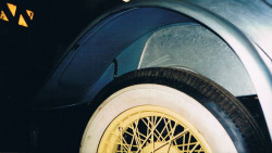 Rear wing stone guards